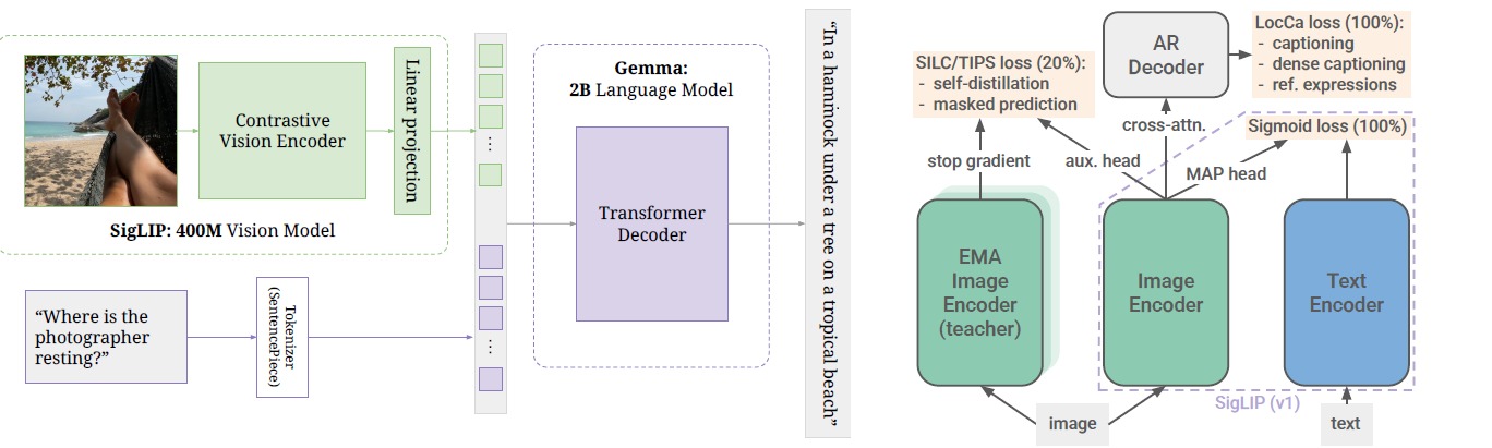 General architecture of SigLIP-2