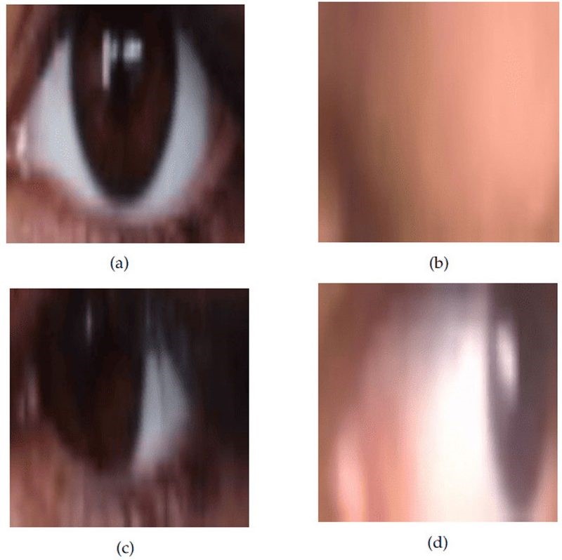 Sample training images for each of the four target classes