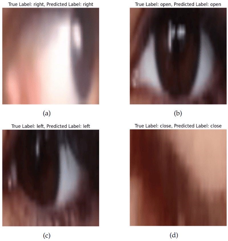 Real inference examples from the ResNet101v2 model