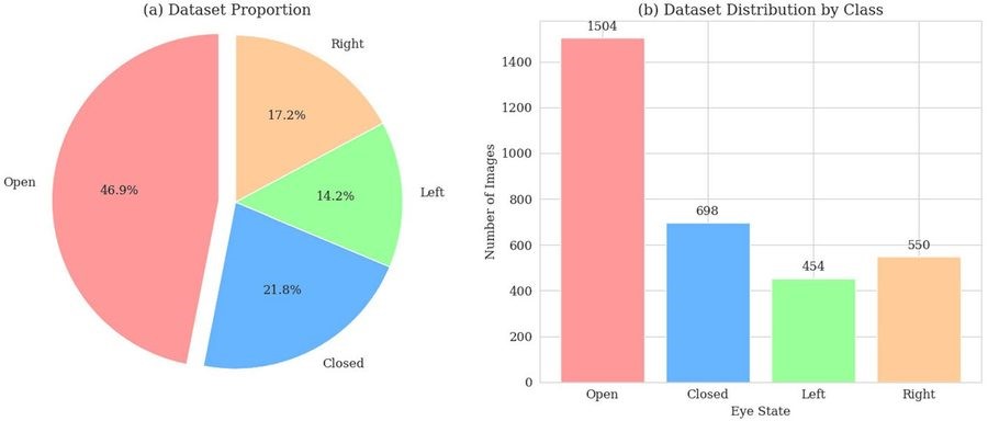 Class breakdown of the final dataset
