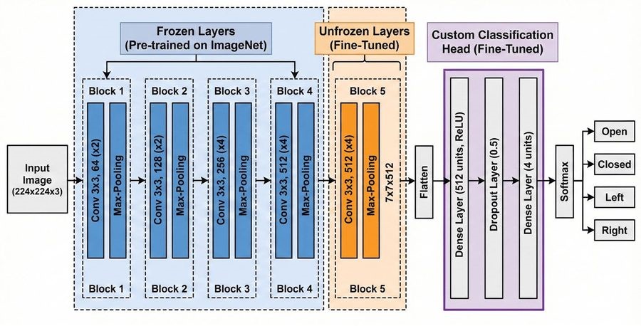 The fine-tuning strategy for VGG-19