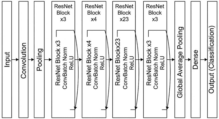The ResNet101v2 architecture