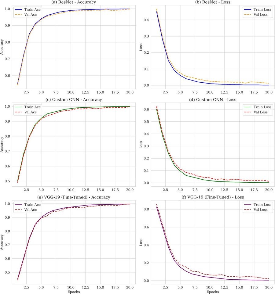 Training and validation curves for all three models