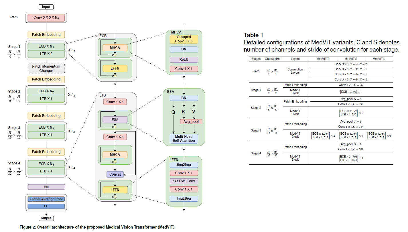 Overall architecture of MedViT