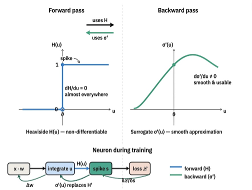 Surrogate Gradient Approach