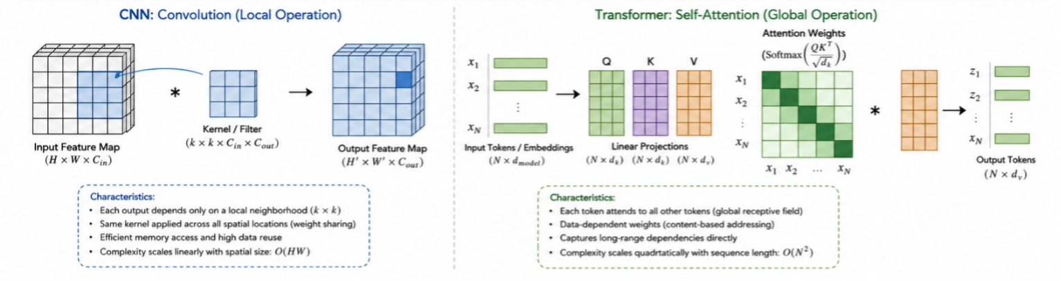 CNN vs. Transformer Architectures